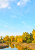 A calm landscape